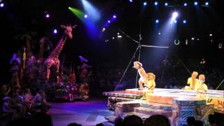 Festival of the Lion King Animal Kingdom Walt Disney World HD 1080p [upl. by Hertzog394]