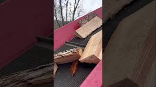 Making use of hardwood slabs for firewood [upl. by Arres644]