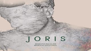 Joris  Hollywood LYRICS  English Subtitles [upl. by Raquela203]