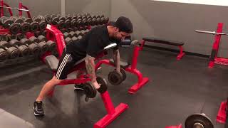 Dumbbell Pronated Grip Chest Supported Row [upl. by Jamaal]