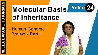 Molecular Basis of Inheritance  NEET  Human Genome Project  Part 1  Neela Bakore Tutorials [upl. by Sulamith]