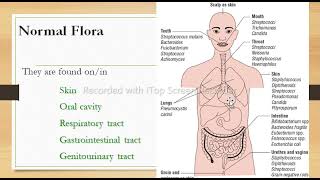 Microbiology  Normal flora Microbiota  Microbiome  Resident amp Transient Microflora KMU Nursing [upl. by Corby]