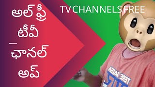 how to watch live tv channels free in Telugu all languages and world all tv channels live [upl. by Paddie]