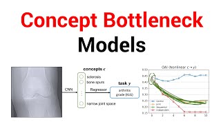 Concept Bottleneck Models Paper Explained [upl. by Chanda]