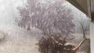 Experience an amazing hail storm in Springville Alabama [upl. by Norbel]