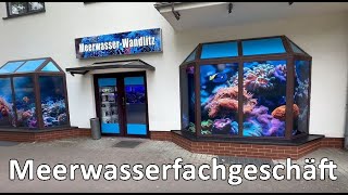 Meerwasseraquaristik Berlin Zu Besuch bei Meerwasser Wandlitz [upl. by Giulia]