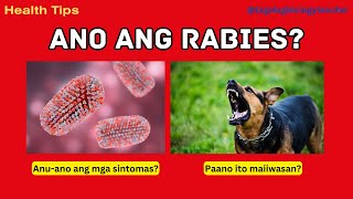 Ano ang Rabies  Signs and Symptoms  Prevention  Health Tips 13 Tagalog [upl. by Pearlman]