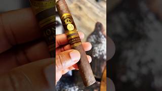 A great cigar nobody’s talking about Oliva Monticello shorts cigars cigar 🔥🍃💨 [upl. by Anyd]