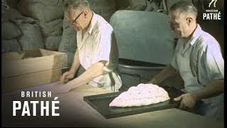 Bread Sculptor 1957 [upl. by Aitrop421]