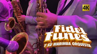 Fidel Funes y su Marimba Orquesta  El Sabor Continua 4K [upl. by Lourie]