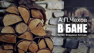 «В бане» АПЧехов Аудиокнига Читает Владимир Антоник [upl. by Egbert]