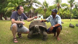 Giant tortoises of the Seychelles [upl. by Ecirtel]