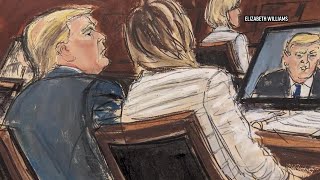 Trump testifies briefly at defamation trial [upl. by Assinna491]