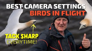 Best Camera Settings for Birds in Flight [upl. by Nezam]