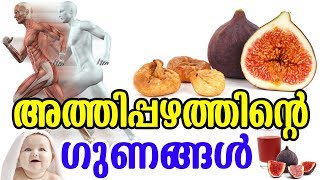 അത്തിപ്പഴത്തിന്‍റെ ഗുണങ്ങൾ  Benefits of Fig Fruits  TASTY WORLD  Athi pazham Health Benfits [upl. by Juliann]