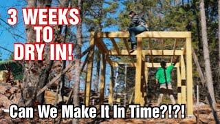 3 WEEK PUSH to DRY IN The Tiny House TreePlay House on the Cabin Homestead  JOIST amp FLOORS [upl. by Gavette]