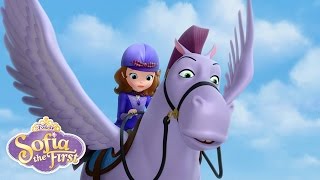 The Rescue  Sofia the First  disneyjr [upl. by Naot]