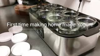 How I made my first home made Yoghurt Easy recipe and so delicious [upl. by Lledroc]