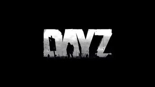 DAYZ [upl. by Brianne]