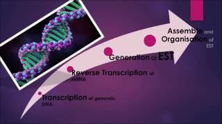 MICROARRAY amp EXPRESSED SEQUENCE TAGS [upl. by Sunshine]