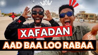 XAFADAN WAA XAFAD DHISMAYSA X HARGEISA 2024 [upl. by Ehudd]