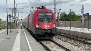 ÖBB 1116164 mit City ShuttleWiesel [upl. by Githens175]