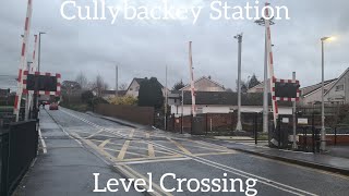 Cullybackey Station Level Crossing Ballymena Monday December 04122023 [upl. by Hannej]