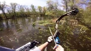 Best Bowfishing in Wisconsin 1 [upl. by Aniala]