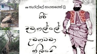 1818 කැරැල්ල මඩුගල්ලේ නිලමේ සැඟවී සිටි කුබුක් ගහ සොයා වනාන්තරය මැදින් ගිය ගමන මඩුගල්ලේ වලව්ව [upl. by Nnalyrehs]