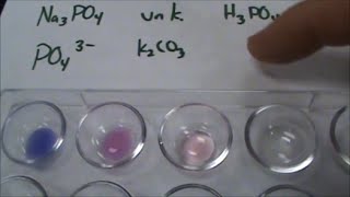 Phosphate Anion Test for Qual Lab [upl. by Clarisse]