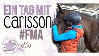 Ein Tag mit Carlsson  FMA [upl. by Dougie344]