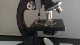 How to use compound microscope [upl. by Ran]