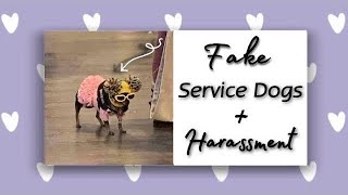 SERVICE DOG HARASSMENT COMPILATION [upl. by Dorothea256]