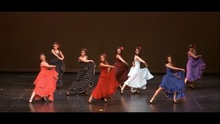 Flamenco  quotBailandoquot ShakallisDance2014 [upl. by Nej]