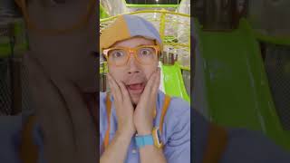 Head Shoulders Knees and Toes  Blippi Songs 🎶 Educational Songs For Kids [upl. by Ridgley211]