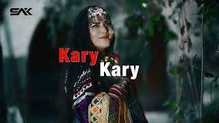 Kary Kary by Shanza Ali Khan New Version of Gilgit Viral song [upl. by Aicelef]