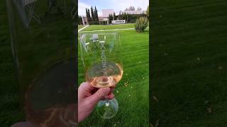 🍾Una Experiencia Increíble en Bodega Chandon ¿Qué Descubrimos [upl. by Burger]