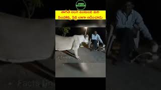 90ml పడితే సింహం పిల్లీ రెండూ ఒకటే telugushorts telugufacts teluguviral telugu [upl. by Sucramrej239]