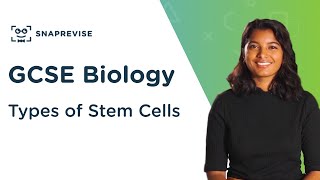 Types of Stem Cells  91 GCSE Science Biology  OCR AQA Edexcel [upl. by Dorca]