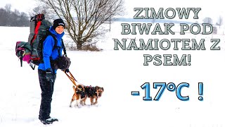 Zimowy biwak pod namiotem z psem 17ºC  Znaleźliśmy żubra na łące  Podlasie zimą 1 [upl. by Anuaek]