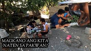 VLOG157MAY KINITA RIN TAYO SA PAKWANHARVEST NG MANGGA [upl. by Lindbom703]