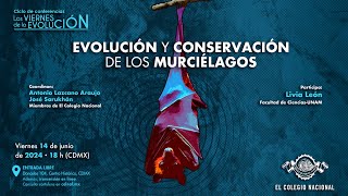 Evolución y conservación de los murciélagos  Ciclo Los viernes de la evolución [upl. by Maillil]