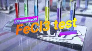 Cinnamic acid FeCl3 test [upl. by Fasa902]