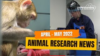 Animal Research News April and May 2022 [upl. by Collin]