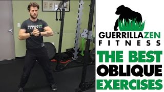 The Best OBLIQUE EXERCISES OF ALL TIME [upl. by Cindra358]