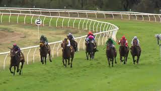 Goondiwindi 20240601 Race 6 [upl. by Adnamma660]