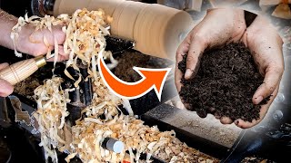 Building a Compost Bin to Transform Wood Shavings into Soil [upl. by Atahs]