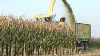 Krone BIG X 1100  700  500  V8 Demo Oirschot [upl. by Drofyar]