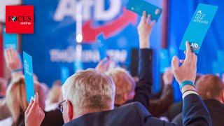 AfD weiter auf RekordHoch – Union knackt 30ProzentMarke [upl. by Einniw]