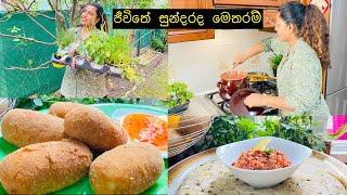 මෙච්‍චර රසයි කියලා හිතන්නවත් බැරි කෑම වට්‍ටෝරු3අළුත්වුනු වගාවලුනුමිරිස්life in Italy Srilankan [upl. by Arbmik222]